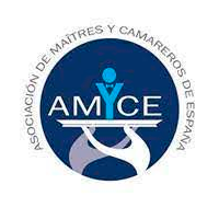 logo_amyce